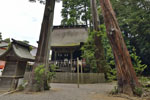 鹿島神宮の巨木たち12