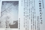cm-本町八幡神社-06