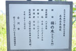cm-本町八幡神社-09