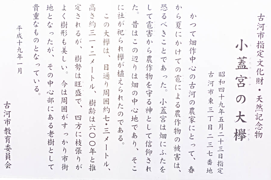 欅の木 欅【受注生産の木軸ペン】 | 『ボナン』 -木軸ペンの店-