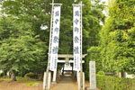釈迦香取神社のケヤキ-04