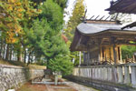 cm-稲田神社-07