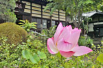 cm-東昌寺-07