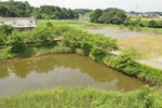 cm-逆井城跡公園-04