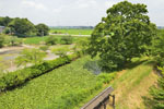cm-逆井城跡公園-05