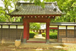 cm-逆井城跡公園-06