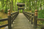 cm-逆井城跡公園-11
