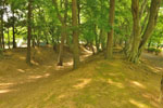 cm-逆井城跡公園-13
