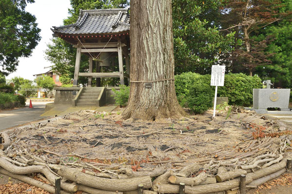 cm-妙安寺-02