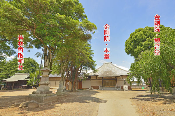 cm-金剛院-01