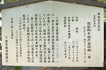光明寺のケヤキとイチョウ-09