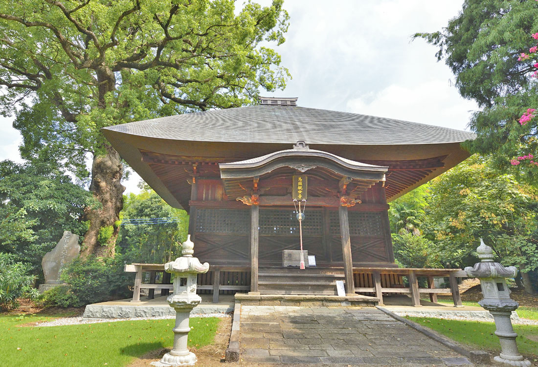 イチョウの木 茨城県の巨木 東漸寺のイチョウとクスノキ