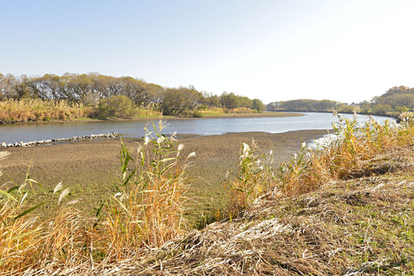 cm-小貝川河川敷 (椚木)-04