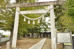 大桑神社の欅-06