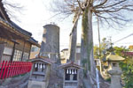 八枝神社のケヤキ-06