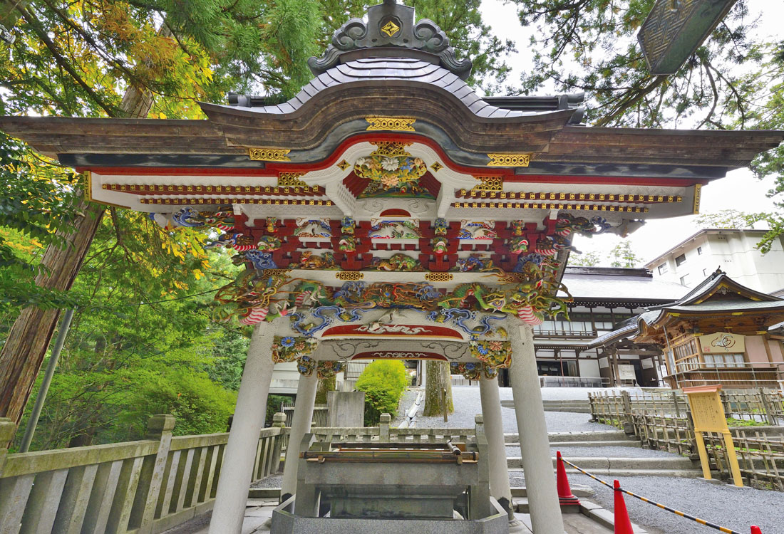 埼玉県の巨木 三峯神社の御神木