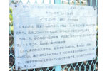 八基小学校のクスノキ-05