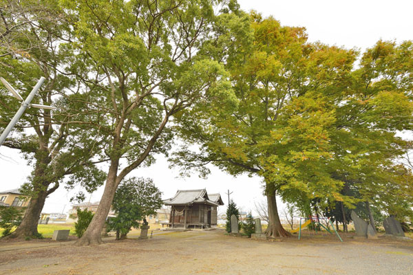 cm-野氷川神社-02