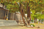 cm-永明寺-02