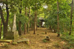 cm-永明寺-11