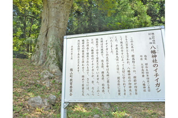 cm-高野倉八幡神社-01