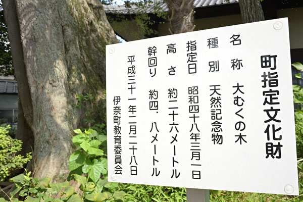 cm-桂全寺-02