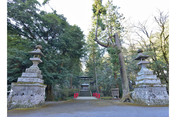 cm-金鑚神社-01