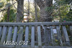 金鑚神社の旗懸銀杏09