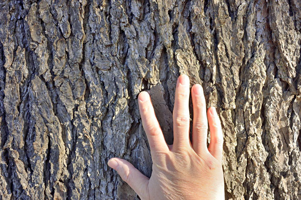 cm-高柳香取神社-01