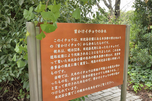 cm-本多静六博士生誕地記念園-02