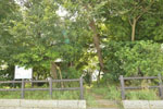 cm-碇神社-02