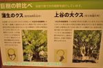 cm-本多静六記念館-13