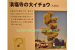 cm-本多静六記念館-14