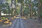 cm-菖蒲神明神社-06