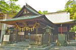 高城神社のケヤキ-09