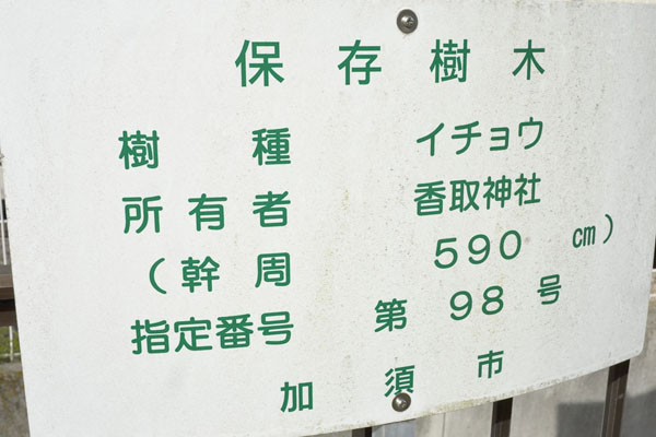 cm-大桑香取神社-03