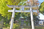 北下新井若宮八幡社のイチョウ-03