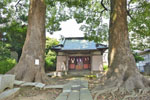 道佛稲荷神社のクスノキ-05