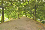 cm-宇和田公園-04