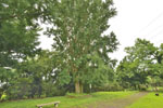 cm-宇和田公園-05
