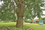 cm-宇和田公園-06