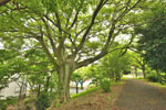 cm-宇和田公園-09