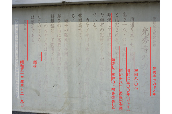 cm-光秀寺-02