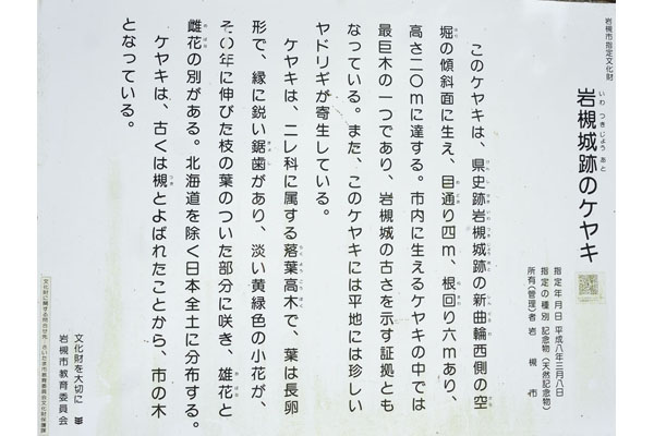 cm-岩槻城址公園-01