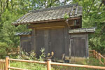 cm-岩槻城址公園-08