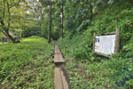 cm-岩槻城址公園-10