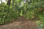 cm-岩槻城址公園-12