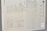 cm-八雲神社-05