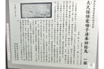 cm-日枝神社-05