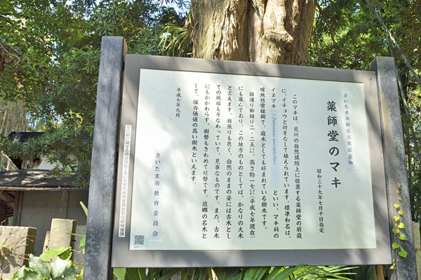 cm-塚本薬師堂